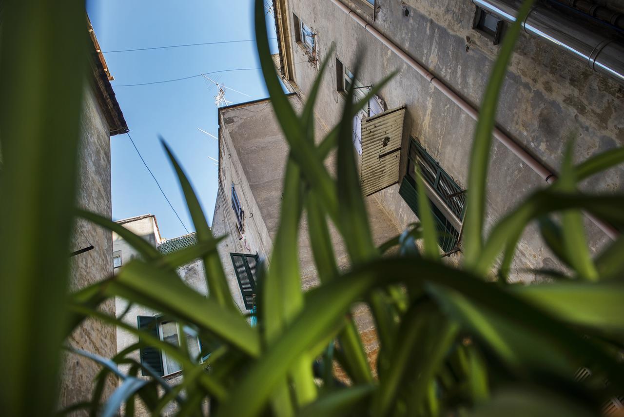 Bed and Breakfast Obelus à Rome Extérieur photo